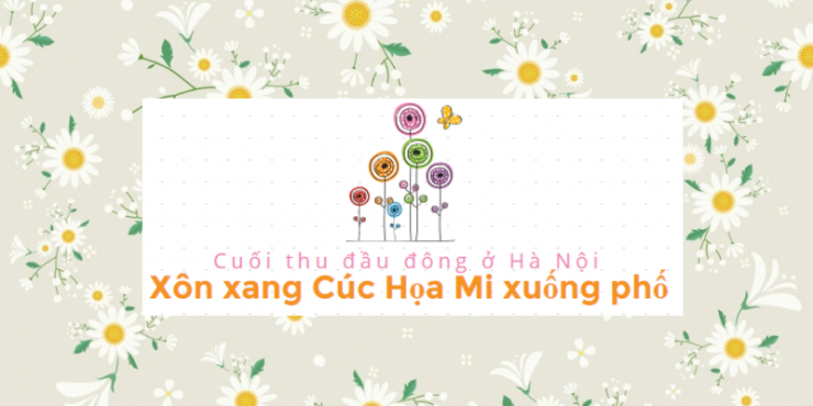 luyen-thi-thu-khoa-vn-co-gai-chup-anh-ben-hoa-cuc-hoa-mi-23.png