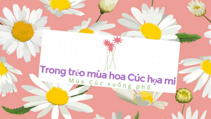 luyen-thi-thu-khoa-vn-co-gai-chup-anh-ben-hoa-cuc-hoa-mi.png