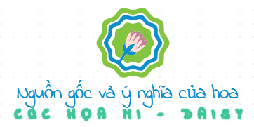 luyen-thi-thu-khoa-vn-cuc-hoa-mi.png