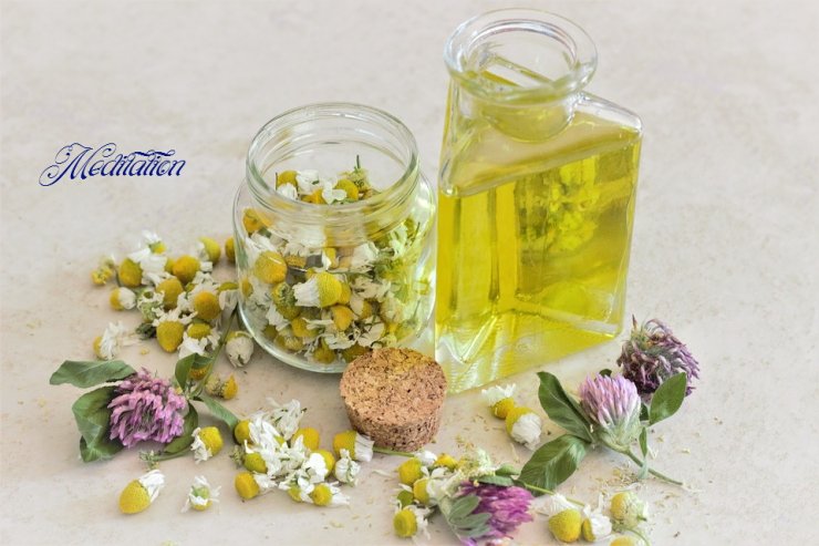 luyen-thi-thu-khoa-vn-fee.jpg