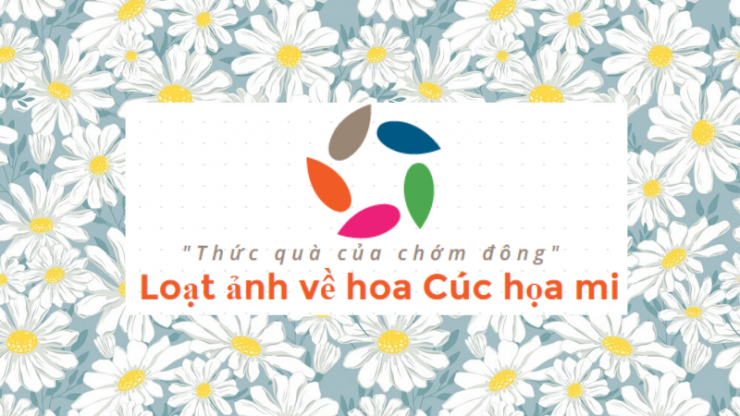 luyen-thi-thu-khoa-vn-hoa-cuc-hoa-mi-thuc-qua-cua-chom-dong.png