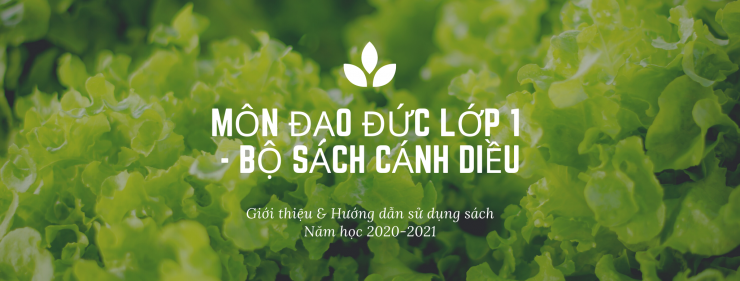 luyen-thi-thu-khoa-vn-huong-dan-su-dung-sach-dao-duc-lop-1-bo-sach-canh-dieu.png