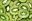 luyen-thi-thu-khoa-vn-kiwi-fruit.jpg