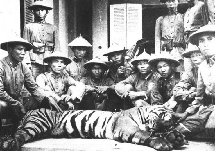 luyen-thi-thu-khoa-vn-mot-con-cop-bi-linh-bat-vao-nam-1937.jpg