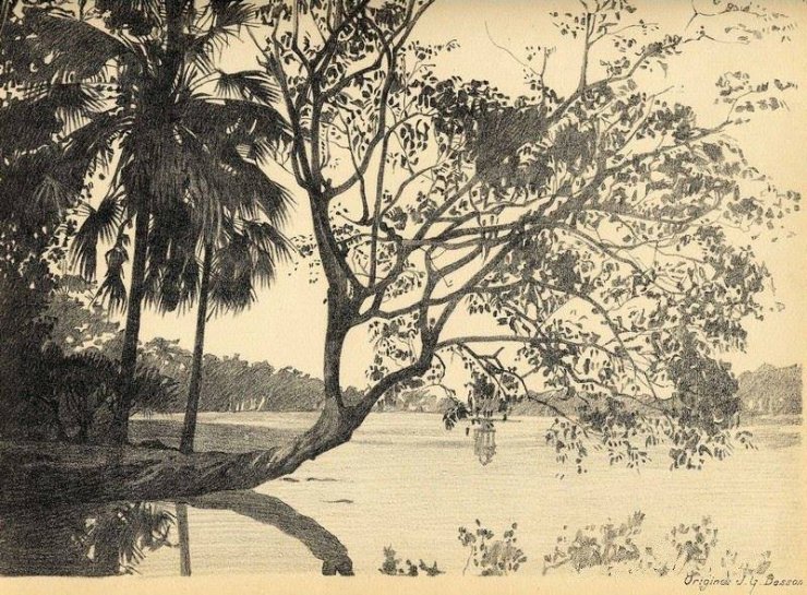 luyen-thi-thu-khoa-vn-mot-tang-cay-gie-ra-mat-ho-Hoan-Kiem.jpg