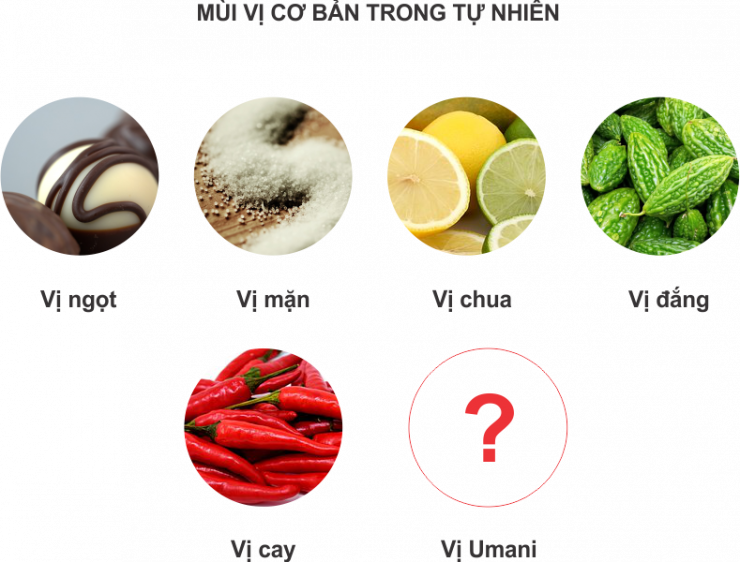 luyen-thi-thu-khoa-vn-mui-vi-co-ban-trong-tu-nhien.png