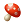 luyen-thi-thu-khoa-vn-mushroom.png