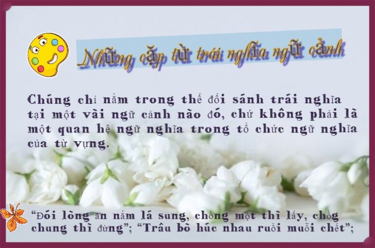 luyen-thi-thu-khoa-vn-Nhung-cap-tu-trai-nghia-ngu-canh.jpeg