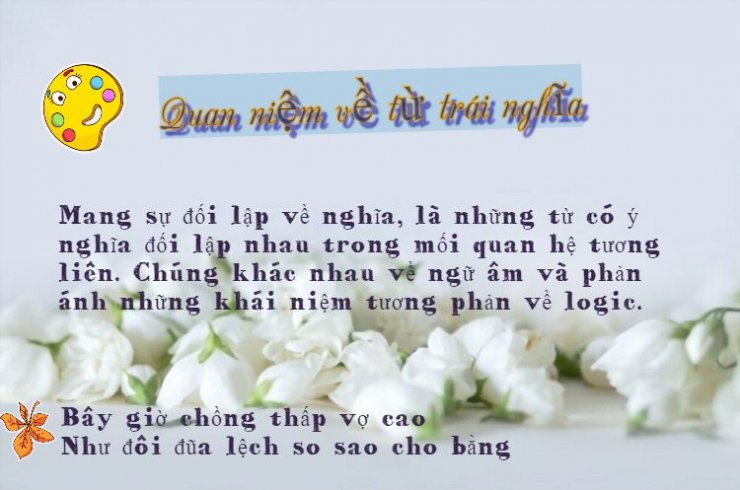 luyen-thi-thu-khoa-vn-quan-niem-ve-tu-trai-nghia.jpeg