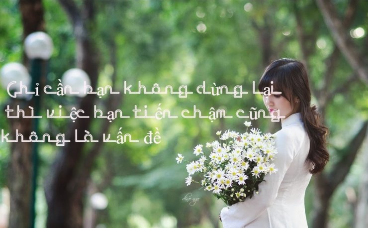 luyen-thi-thu-khoa-vn-quote-02.jpg