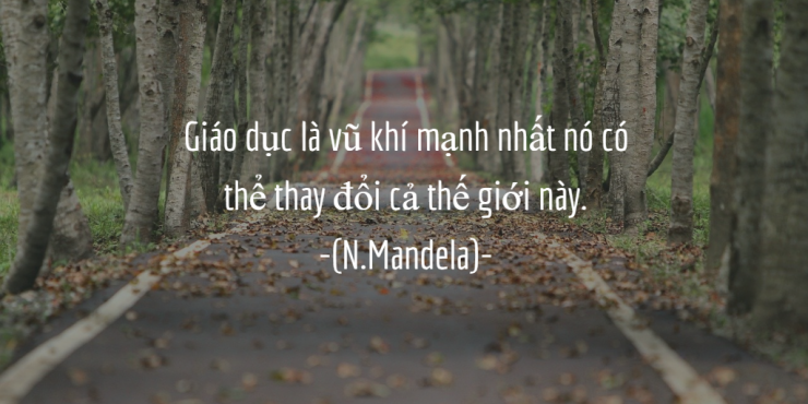 luyen-thi-thu-khoa-vn-quote-04.png