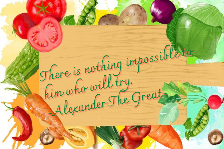 luyen-thi-thu-khoa-vn-quote-tao-dong-luc-05.png
