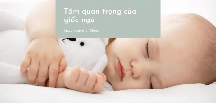 luyen-thi-thu-khoa-vn-tam-quan-trong-cua-giac-ngu.png