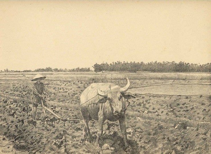 luyen-thi-thu-khoa-vn-trau-cay-ruong-Bac-Ky-nam-1935.jpg