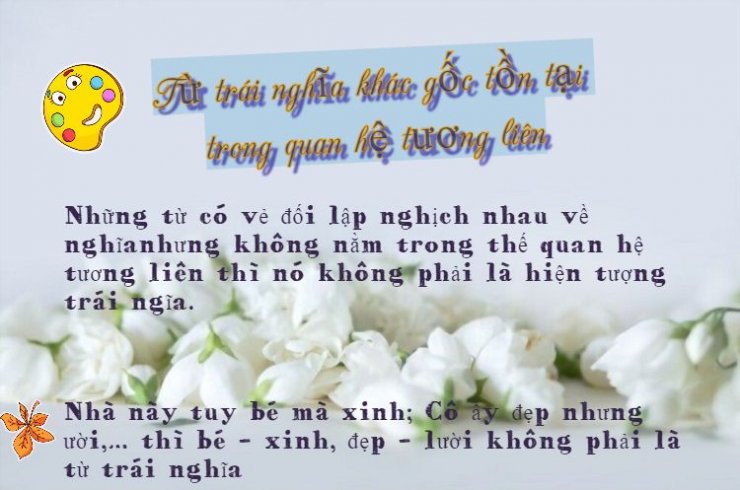 luyen-thi-thu-khoa-vn-Tu-trai-nghia-01.jpeg