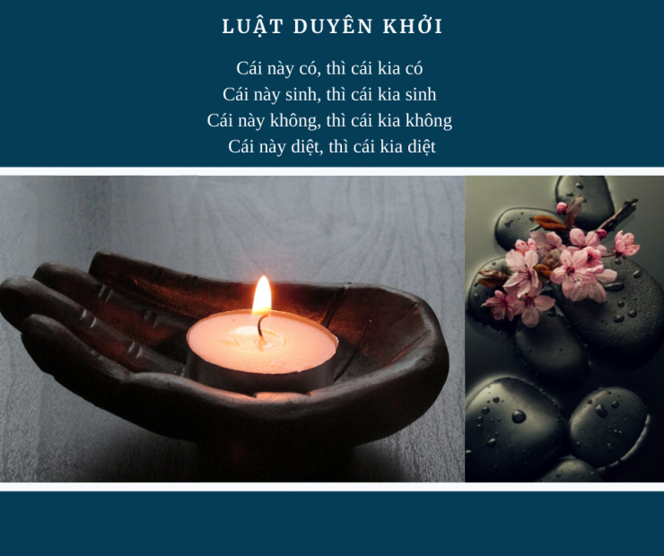 luyen-thi-thu-khoa-vn-vo-nga-01.png