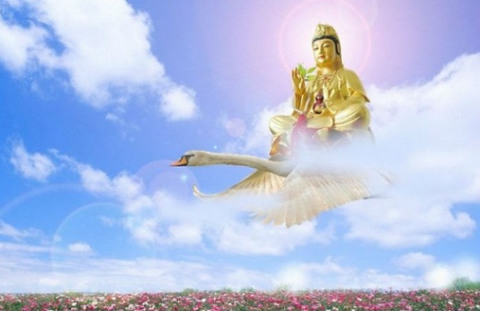 minhbao.net-duoc-Than-Phat-phu-ho-696x451.jpg