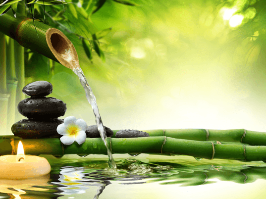 minhbao.net-hoa-giai-diem-go-phong-thuy-1.png