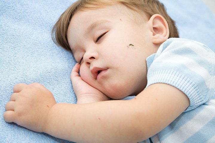 Mosquito-Bites-In-Toddlers.jpg