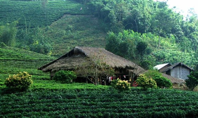 mot-goc-nho-o-que-huong-viet-nam_041215831.jpg