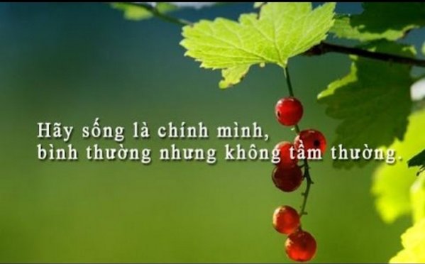 nhansinh.jpg