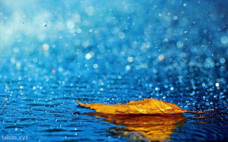 raining-1024x640.jpg