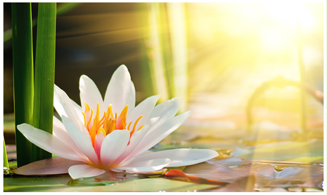 Screenshot (160).png