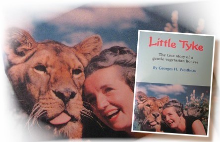 sutuanchaylittletyke4.jpg