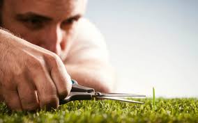 tải xuống (3).jpg