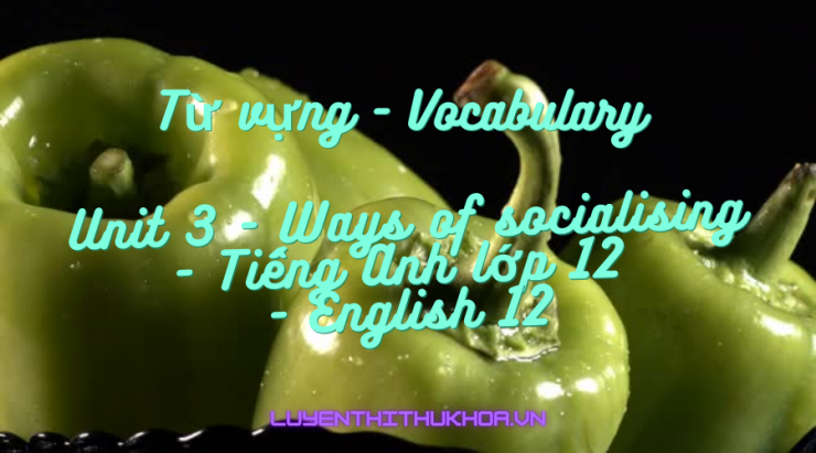 Từ vựng - Vocabulary.png