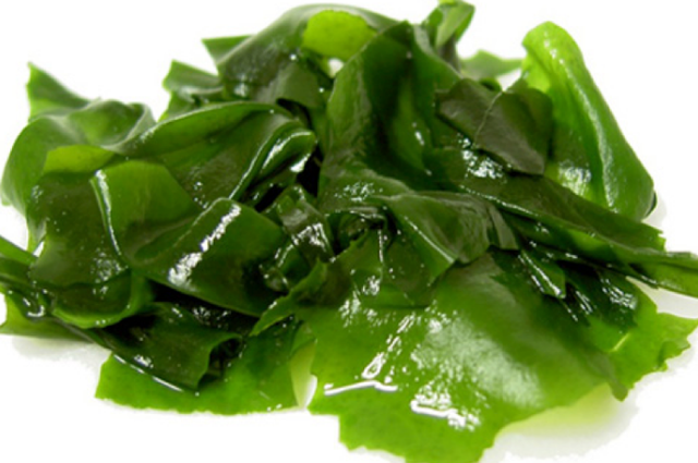 tao-bien-15272321100881467909314.png